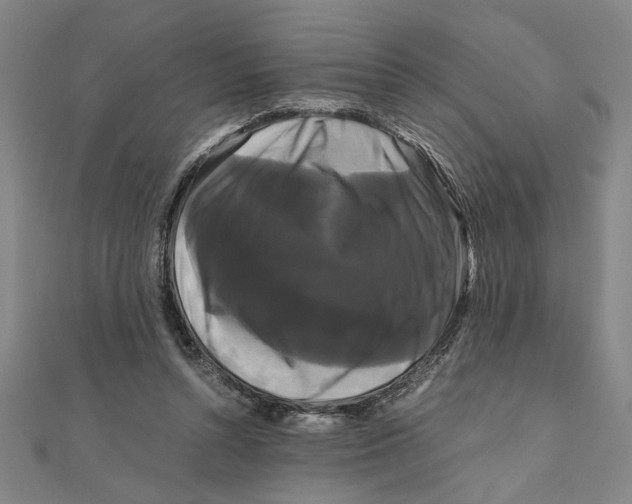 X0000111120352200907281034