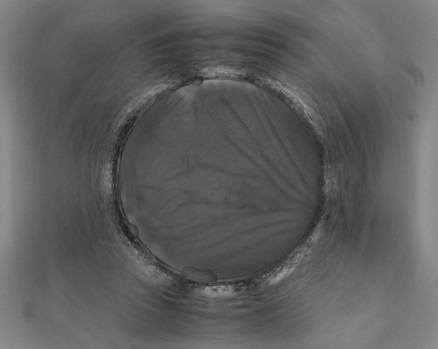 X0000111120353200907281034