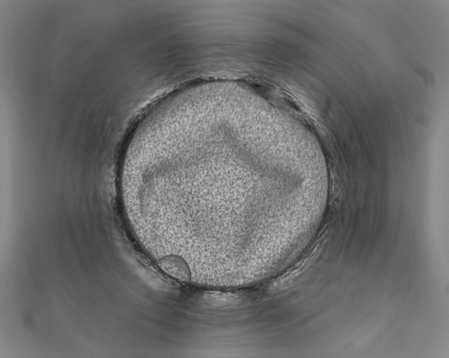 X0000111120354200907281034