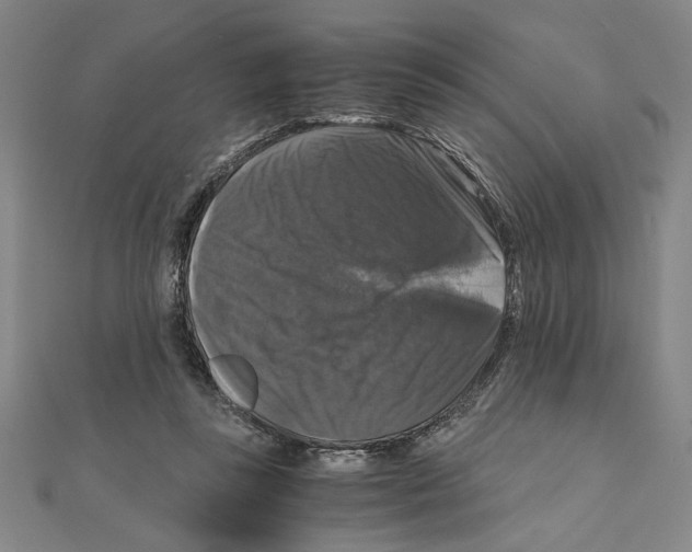 X0000111120355200907281034