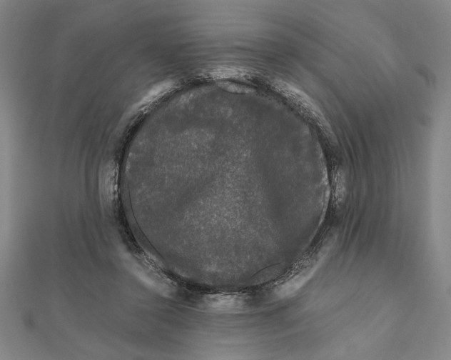 X0000111120356200907281034