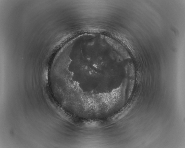 X0000111120358200907281034