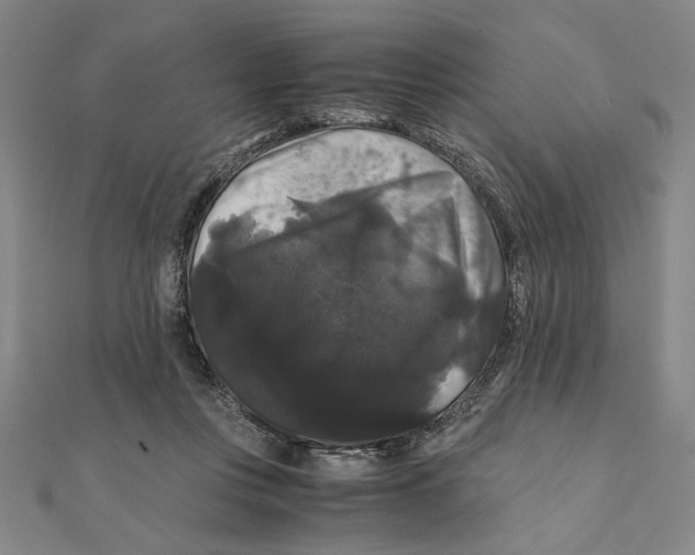 X0000111120359200907281034
