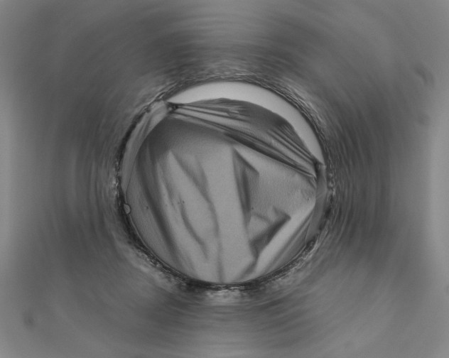 X0000111120362200907281034