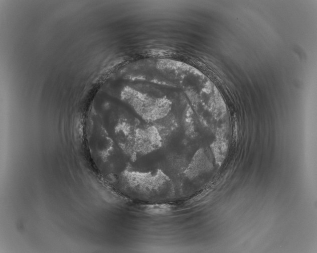 X0000111120363200907281034