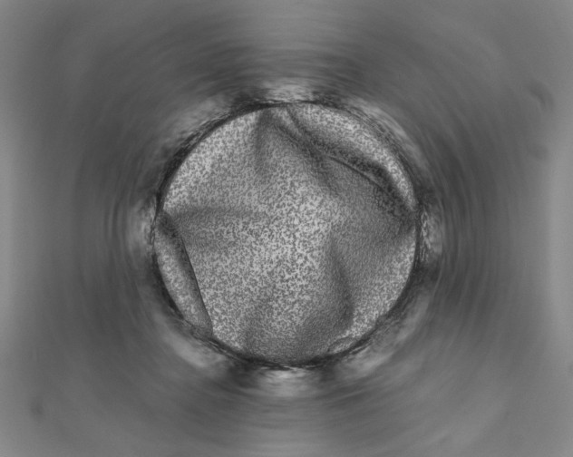 X0000111120364200907281034