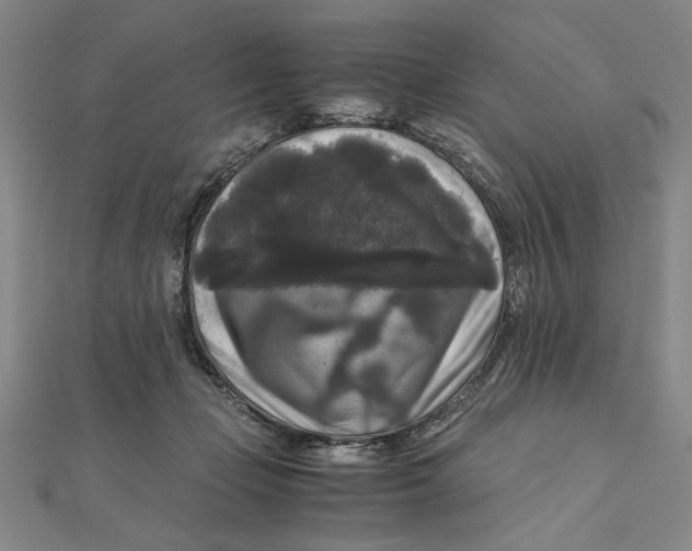 X0000111120365200907281034