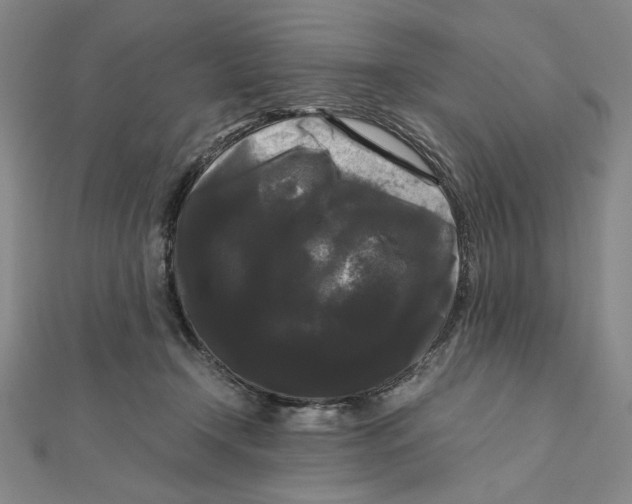 X0000111120366200907281034