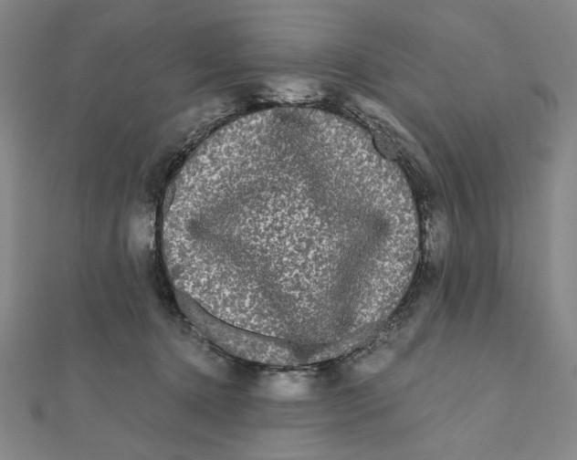 X0000111120368200907281034