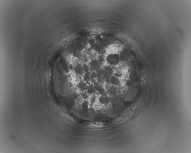 X0000111120369200907281034