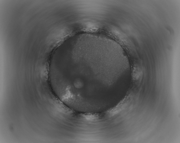 X0000111120370200907281034