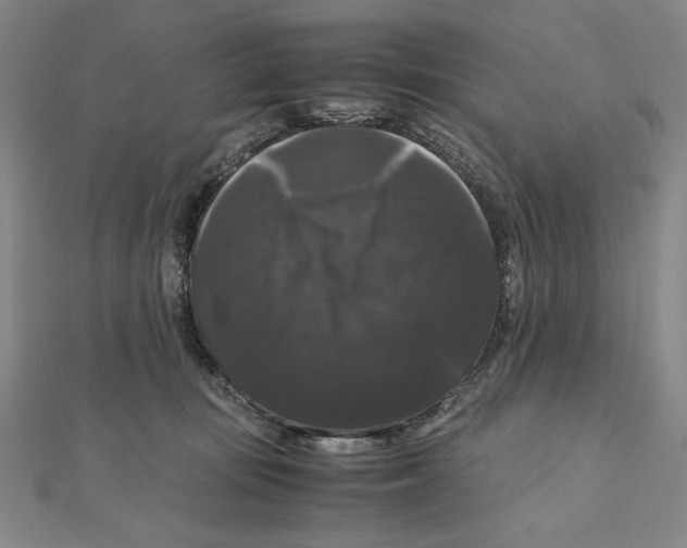 X0000111120371200907281034