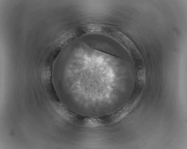 X0000111120372200907281034