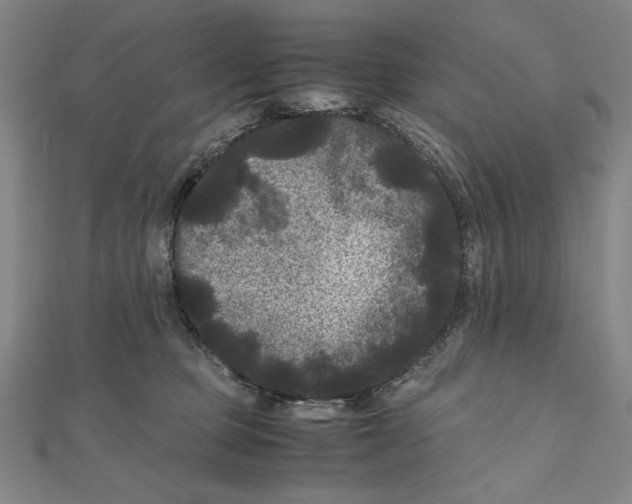 X0000111120373200907281034