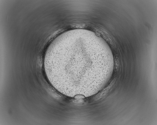 X0000111120374200907281034