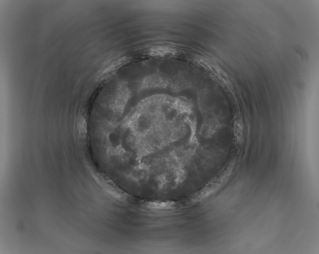 X0000111120375200907281034