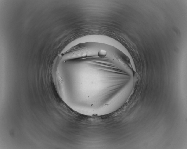 X0000111120376200907281034