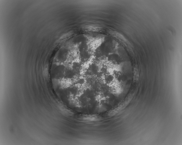 X0000111120377200907281034