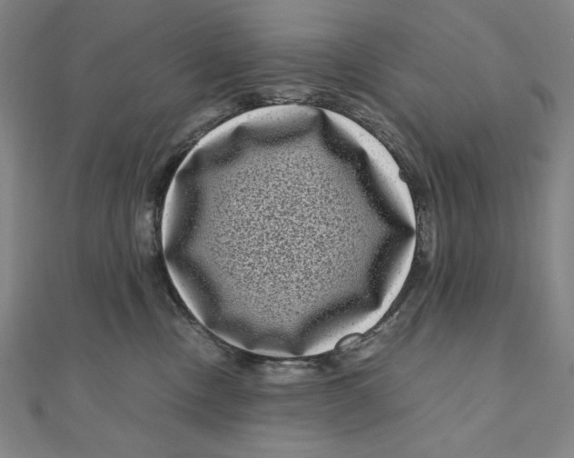 X0000111120378200907281034