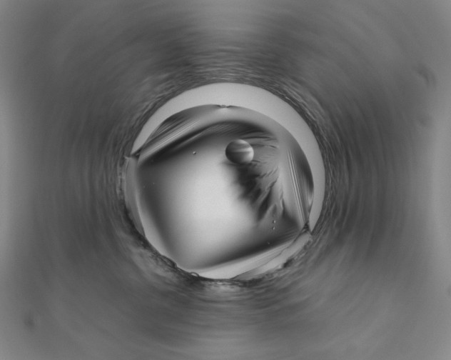 X0000111120380200907281034