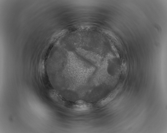 X0000111120381200907281034