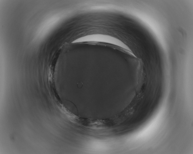 X0000111120382200907281034
