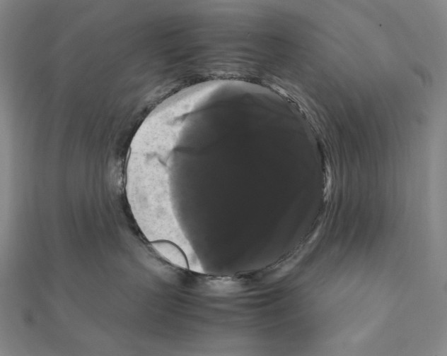 X0000111120383200907281034
