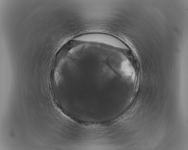 X0000111120385200907281033