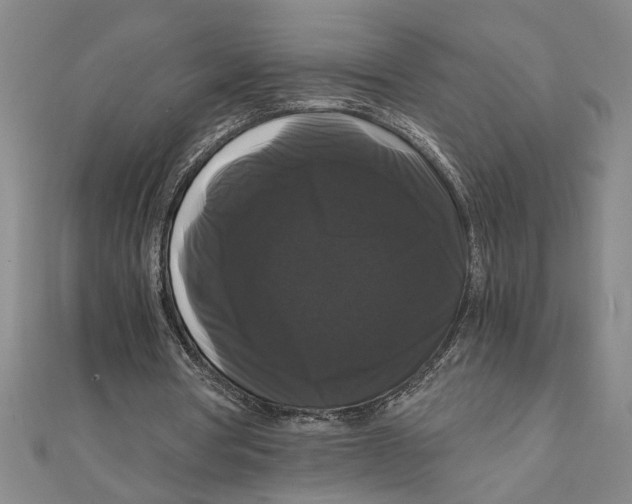 X0000111120386200907281033