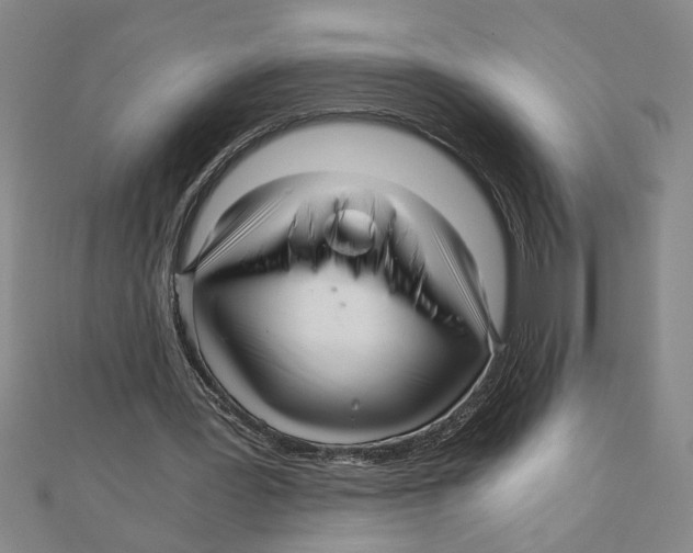 X0000111120387200907281033