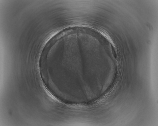 X0000111120389200907281033