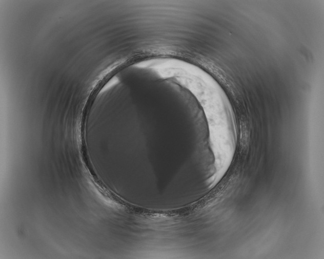 X0000111120390200907281033