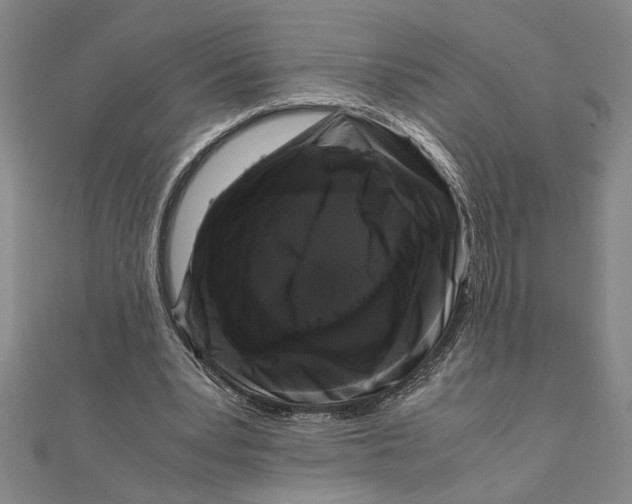 X0000111120391200907281033