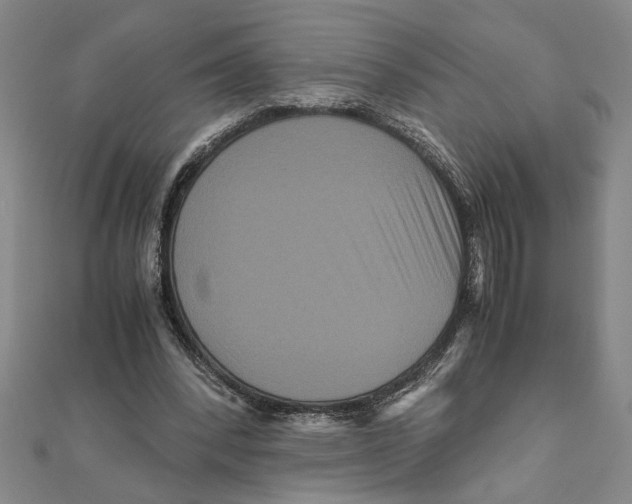 X0000111120392200907281033