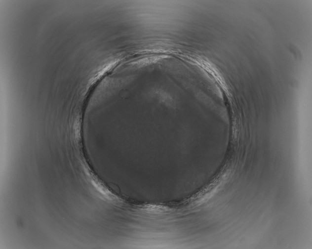 X0000111120393200907281033