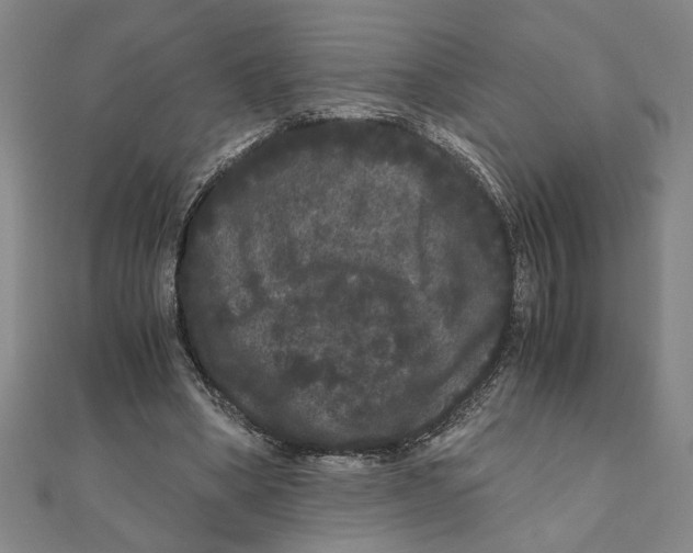 X0000111120394200907281033