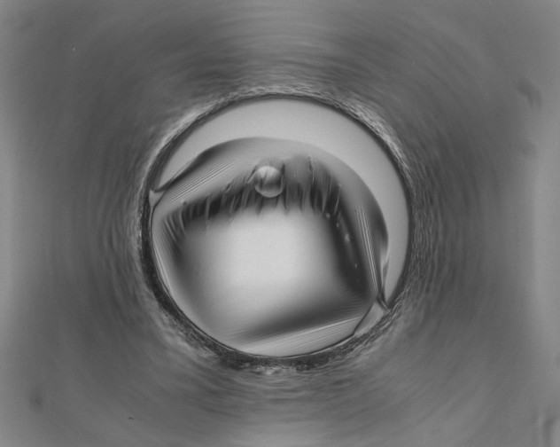 X0000111120395200907281033