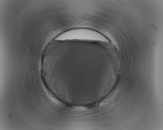 X0000111120397200907281033