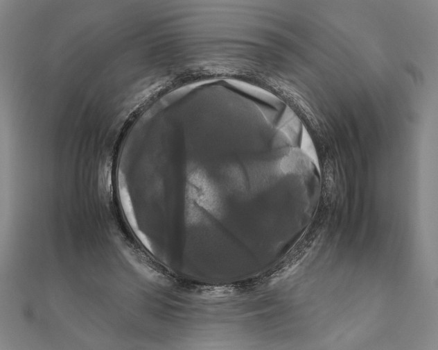 X0000111120398200907281033