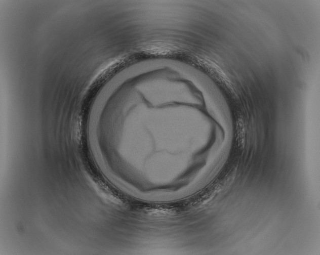 X0000111120400200907281033