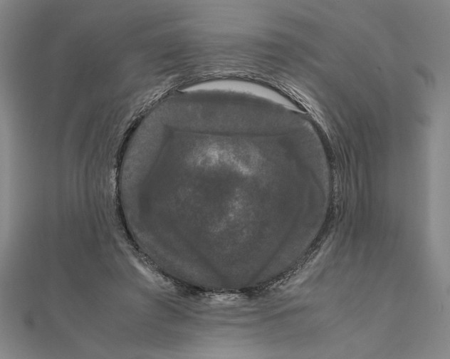 X0000111120401200907281033