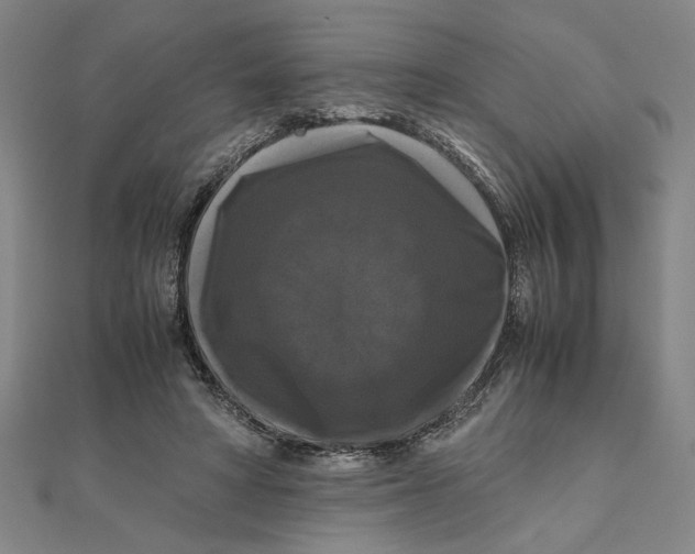 X0000111120402200907281033