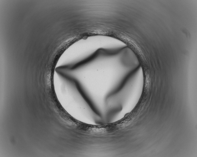 X0000111120403200907281033