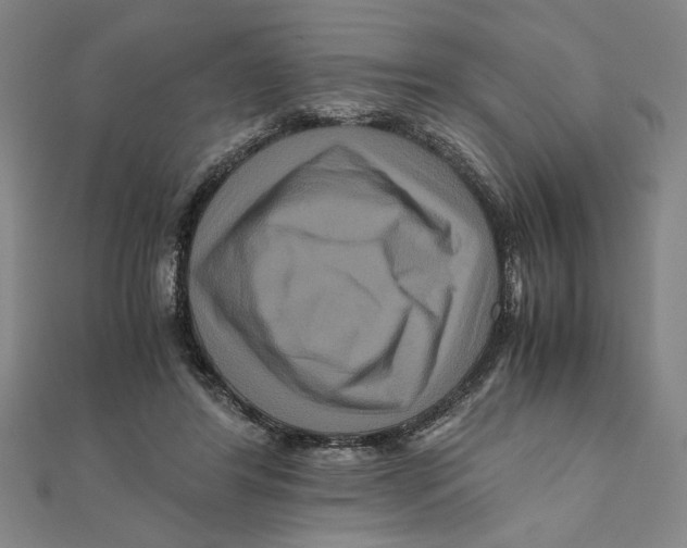 X0000111120404200907281033