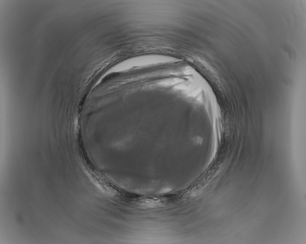 X0000111120405200907281033
