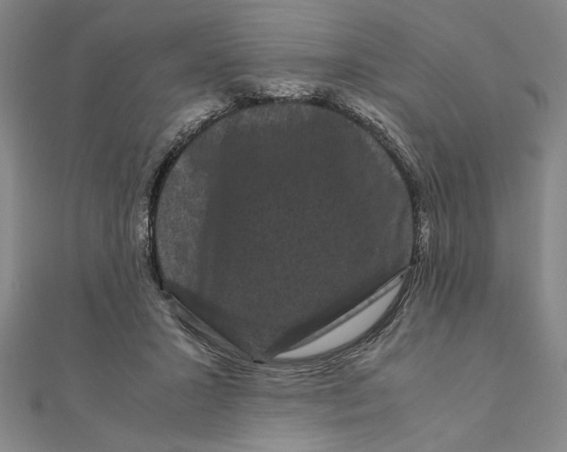 X0000111120407200907281033