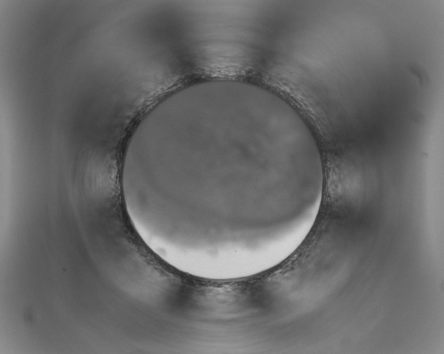 X0000111120411200907281033