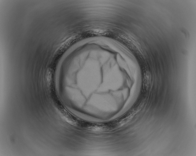 X0000111120412200907281033