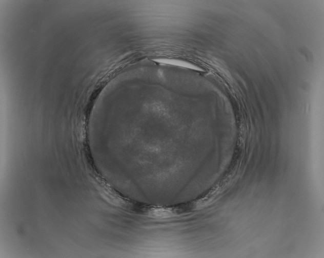 X0000111120413200907281033