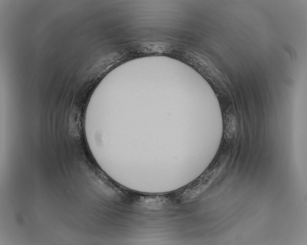 X0000111120414200907281033
